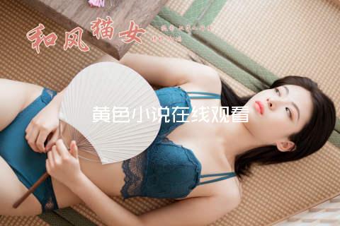 黄色小说在线观看